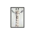 Picture of Close-up Giraffe _GroupedProduct_Rectangle_Portrait_Mini_ _GroupedProduct_Rectangle_Portrait_Canvas_Framed_