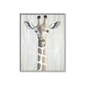 Picture of Close-up Giraffe _GroupedProduct_Rectangle_Portrait_Mini_ _GroupedProduct_Rectangle_Portrait_Canvas_Framed_