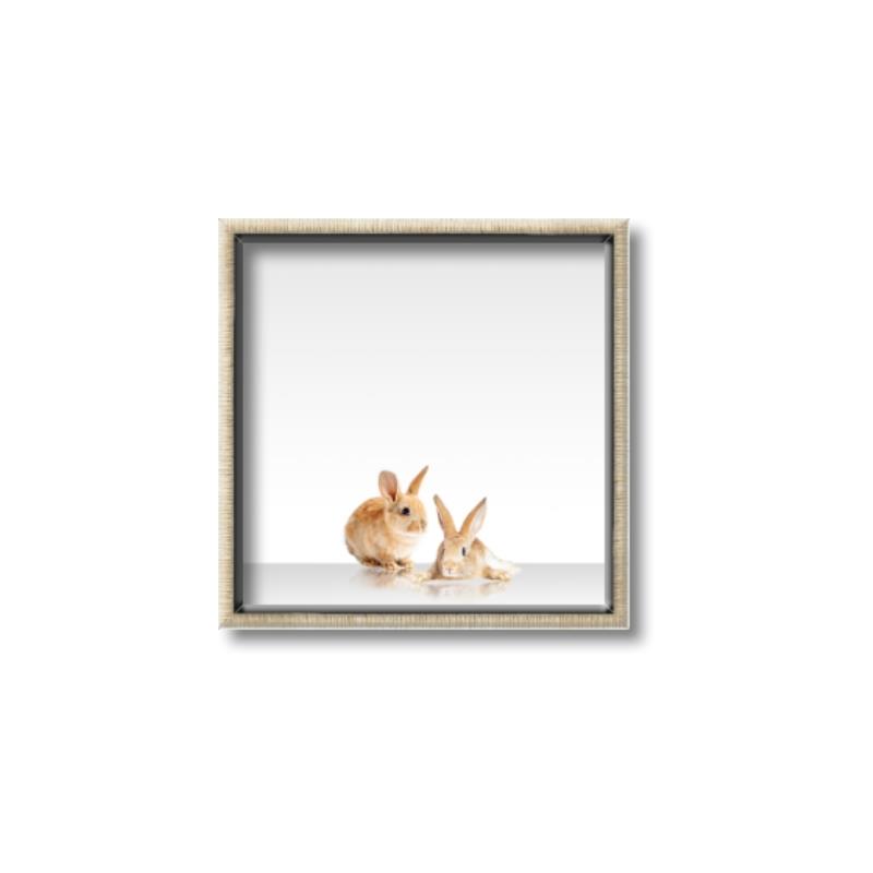 Picture of Together Bunnies _GroupedProduct_Square_Mini_ _GroupedProduct_Square_Canvas_Framed_