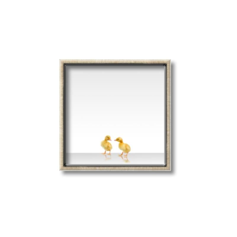 Picture of Together Ducks _GroupedProduct_Square_Mini_ _GroupedProduct_Square_Canvas_Framed_
