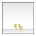 Picture of Together Ducks _GroupedProduct_Square_Mini_ _GroupedProduct_Square_Canvas_Framed_