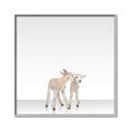 Picture of Together Lambs _GroupedProduct_Square_Mini_ _GroupedProduct_Square_Canvas_Framed_