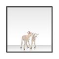 Picture of Together Lambs _GroupedProduct_Square_Mini_ _GroupedProduct_Square_Canvas_Framed_