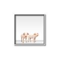 Picture of Together Pigs _GroupedProduct_Square_Mini_ _GroupedProduct_Square_Canvas_Framed_
