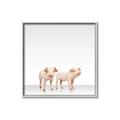 Picture of Together Pigs _GroupedProduct_Square_Mini_ _GroupedProduct_Square_Canvas_Framed_