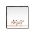 Picture of Together Pigs _GroupedProduct_Square_Mini_ _GroupedProduct_Square_Canvas_Framed_