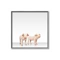 Picture of Together Pigs _GroupedProduct_Square_Mini_ _GroupedProduct_Square_Canvas_Framed_