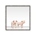 Picture of Together Pigs _GroupedProduct_Square_Mini_ _GroupedProduct_Square_Canvas_Framed_