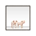 Picture of Together Pigs _GroupedProduct_Square_Mini_ _GroupedProduct_Square_Canvas_Framed_