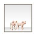 Picture of Together Pigs _GroupedProduct_Square_Mini_ _GroupedProduct_Square_Canvas_Framed_