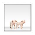 Picture of Together Pigs _GroupedProduct_Square_Mini_ _GroupedProduct_Square_Canvas_Framed_