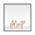 Picture of Together Pigs _GroupedProduct_Square_Mini_ _GroupedProduct_Square_Canvas_Framed_