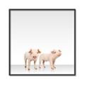 Picture of Together Pigs _GroupedProduct_Square_Mini_ _GroupedProduct_Square_Canvas_Framed_