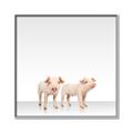 Picture of Together Pigs _GroupedProduct_Square_Mini_ _GroupedProduct_Square_Canvas_Framed_