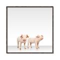 Picture of Together Pigs _GroupedProduct_Square_Mini_ _GroupedProduct_Square_Canvas_Framed_