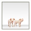 Picture of Together Pigs _GroupedProduct_Square_Mini_ _GroupedProduct_Square_Canvas_Framed_