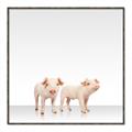 Picture of Together Pigs _GroupedProduct_Square_Mini_ _GroupedProduct_Square_Canvas_Framed_