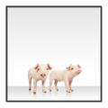 Picture of Together Pigs _GroupedProduct_Square_Mini_ _GroupedProduct_Square_Canvas_Framed_