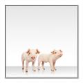 Picture of Together Pigs _GroupedProduct_Square_Mini_ _GroupedProduct_Square_Canvas_Framed_