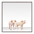 Picture of Together Pigs _GroupedProduct_Square_Mini_ _GroupedProduct_Square_Canvas_Framed_