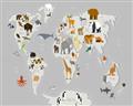 Picture of Animals Map Grey _GroupedProduct_Rectangle_Landscape_Unframed_Print_Only_