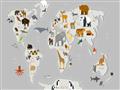Picture of Animals Map Grey _GroupedProduct_Rectangle_Landscape_Unframed_Print_Only_