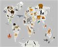 Picture of Animals Map Grey _GroupedProduct_Rectangle_Landscape_Unframed_Print_Only_