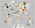 Picture of Animals Map Grey _GroupedProduct_Rectangle_Landscape_Unframed_Print_Only_