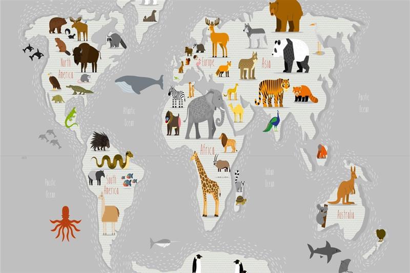 Picture of Animals Map Grey _GroupedProduct_Rectangle_Landscape_Unframed_Print_Only_