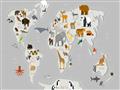 Picture of Animals Map Grey _GroupedProduct_Rectangle_Landscape_Unframed_Print_Only_
