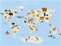 Picture of Animals Map Light Blue _GroupedProduct_Rectangle_Landscape_Unframed_Print_Only_