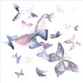 Picture of Big Flutters _GroupedProduct_Square_Mini_ _GroupedProduct_Square_Unframed_Print_Only_