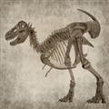 Picture of Dino Skeleton I _GroupedProduct_Square_Mini_ _GroupedProduct_Square_Unframed_Print_Only_
