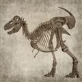 Picture of Dino Skeleton I _GroupedProduct_Square_Mini_ _GroupedProduct_Square_Unframed_Print_Only_