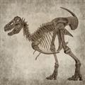 Picture of Dino Skeleton I _GroupedProduct_Square_Mini_ _GroupedProduct_Square_Unframed_Print_Only_