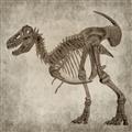 Picture of Dino Skeleton I _GroupedProduct_Square_Mini_ _GroupedProduct_Square_Unframed_Print_Only_