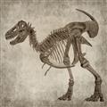 Picture of Dino Skeleton I _GroupedProduct_Square_Mini_ _GroupedProduct_Square_Unframed_Print_Only_
