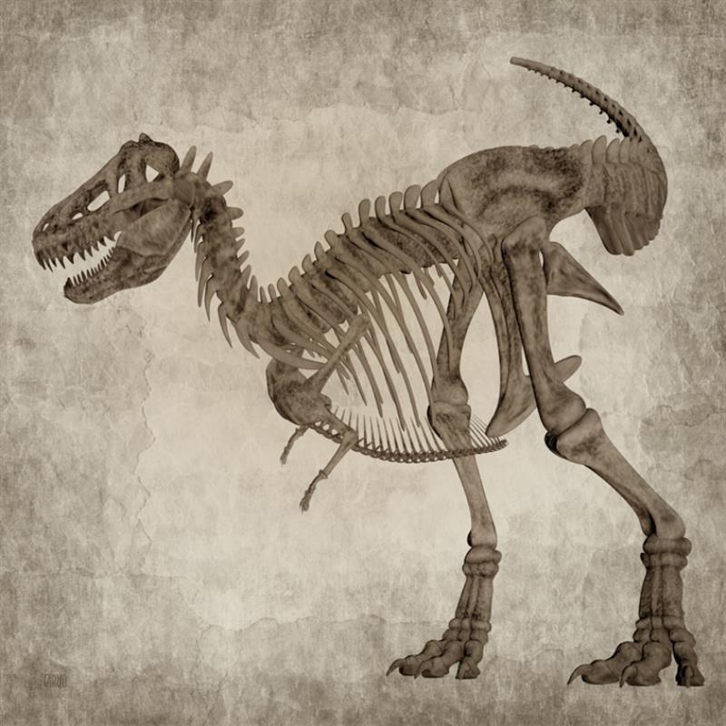 Picture of Dino Skeleton I _GroupedProduct_Square_Mini_ _GroupedProduct_Square_Unframed_Print_Only_