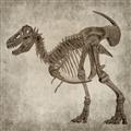 Picture of Dino Skeleton I _GroupedProduct_Square_Mini_ _GroupedProduct_Square_Unframed_Print_Only_