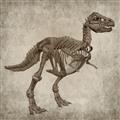 Picture of Dino Skeleton II _GroupedProduct_Square_Mini_ _GroupedProduct_Square_Unframed_Print_Only_
