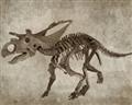 Picture of Dino Skeleton III _GroupedProduct_Rectangle_Landscape_Mini_ _GroupedProduct_Rectangle_Landscape_Unframed_Print_Only_