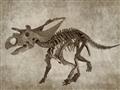 Picture of Dino Skeleton III _GroupedProduct_Rectangle_Landscape_Mini_ _GroupedProduct_Rectangle_Landscape_Unframed_Print_Only_