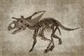 Picture of Dino Skeleton III _GroupedProduct_Rectangle_Landscape_Mini_ _GroupedProduct_Rectangle_Landscape_Unframed_Print_Only_