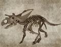 Picture of Dino Skeleton III _GroupedProduct_Rectangle_Landscape_Mini_ _GroupedProduct_Rectangle_Landscape_Unframed_Print_Only_
