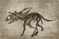Picture of Dino Skeleton III _GroupedProduct_Rectangle_Landscape_Mini_ _GroupedProduct_Rectangle_Landscape_Unframed_Print_Only_