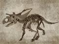 Picture of Dino Skeleton III _GroupedProduct_Rectangle_Landscape_Mini_ _GroupedProduct_Rectangle_Landscape_Unframed_Print_Only_