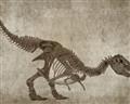 Picture of Dino Skeleton IV _GroupedProduct_Rectangle_Landscape_Mini_ _GroupedProduct_Rectangle_Landscape_Unframed_Print_Only_
