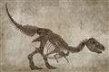 Picture of Dino Skeleton IV _GroupedProduct_Rectangle_Landscape_Mini_ _GroupedProduct_Rectangle_Landscape_Unframed_Print_Only_