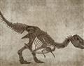 Picture of Dino Skeleton IV _GroupedProduct_Rectangle_Landscape_Mini_ _GroupedProduct_Rectangle_Landscape_Unframed_Print_Only_