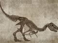 Picture of Dino Skeleton IV _GroupedProduct_Rectangle_Landscape_Mini_ _GroupedProduct_Rectangle_Landscape_Unframed_Print_Only_